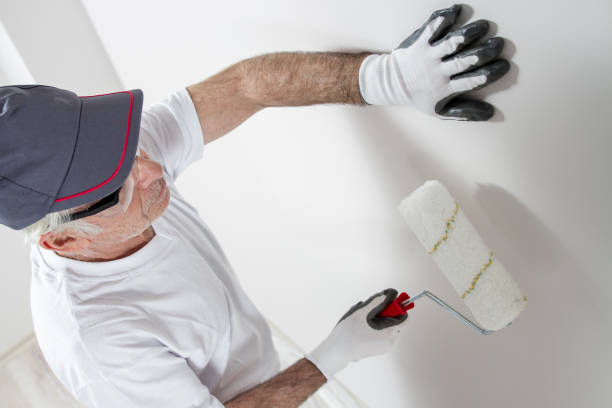 Best Mold Removal for HVAC Installations  in Man, IL