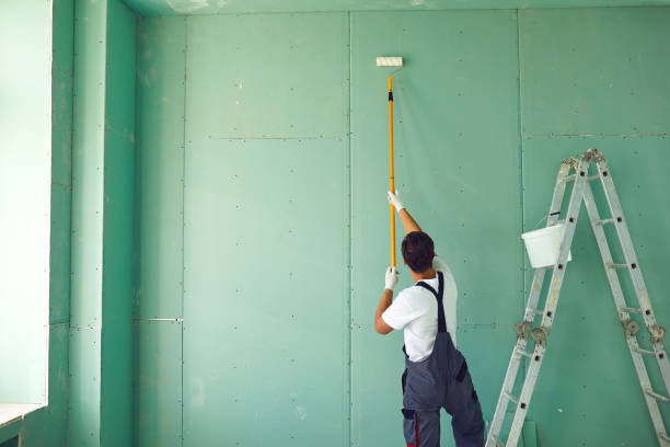 Best Mold Prevention Services  in Man, IL