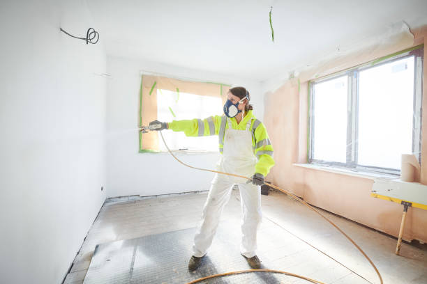 Milan, IL Mold Removal Company