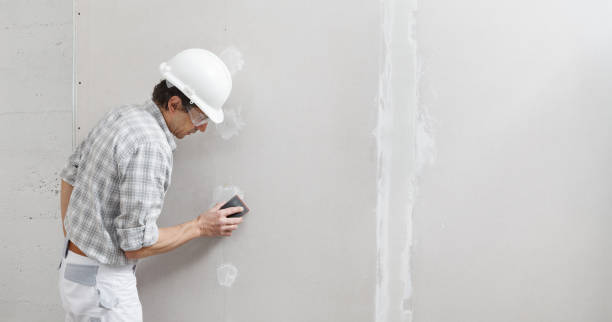 Best Real Estate Mold Inspection  in Man, IL