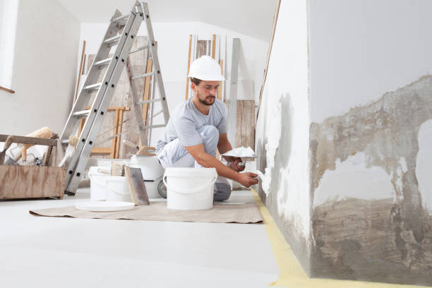 Best Mold Damage Restoration  in Man, IL