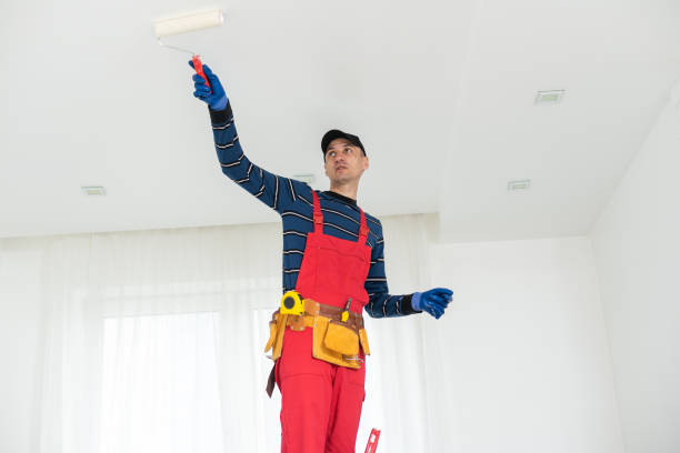 Best Residential Mold Inspection & Testing  in Man, IL