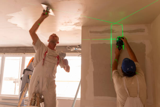 Best Real Estate Mold Inspection  in Man, IL