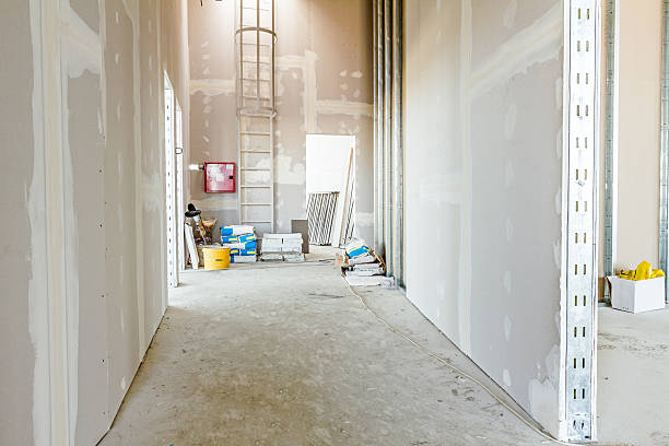 Best Basement Mold Removal  in Man, IL
