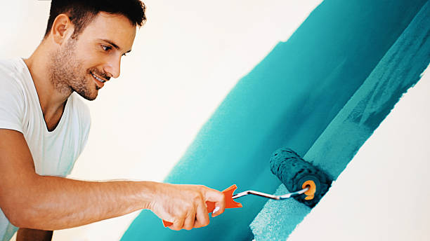 Best Mold Documentation for Insurance Claims  in Man, IL