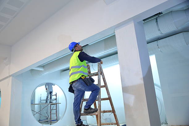 Best Mold Remediation for Healthcare Facilities  in Man, IL