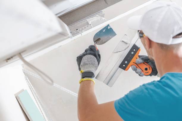 Best Mold Damage Restoration  in Man, IL
